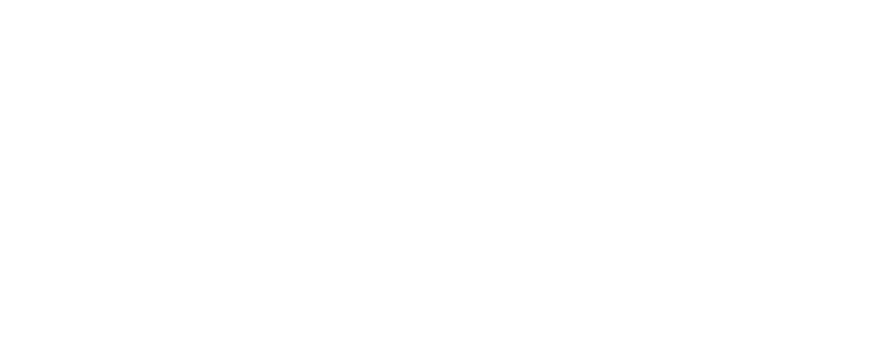 Logo L VALORISE blanc